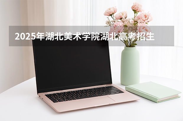 2025年湖北美术学院湖北高考招生计划（2026参考）