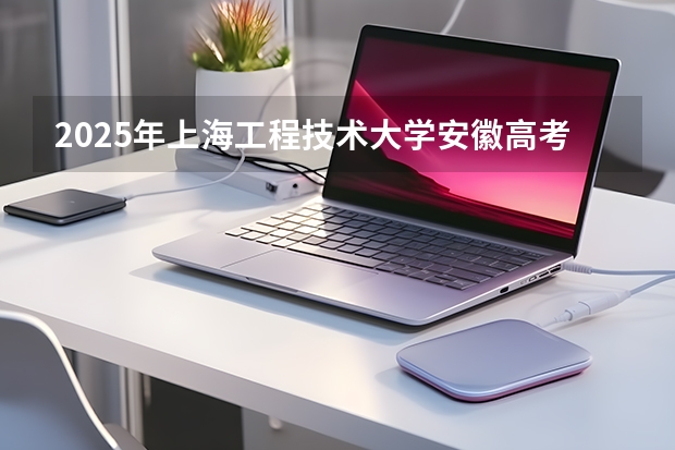 2025年上海工程技术大学安徽高考招生计划（2026参考）