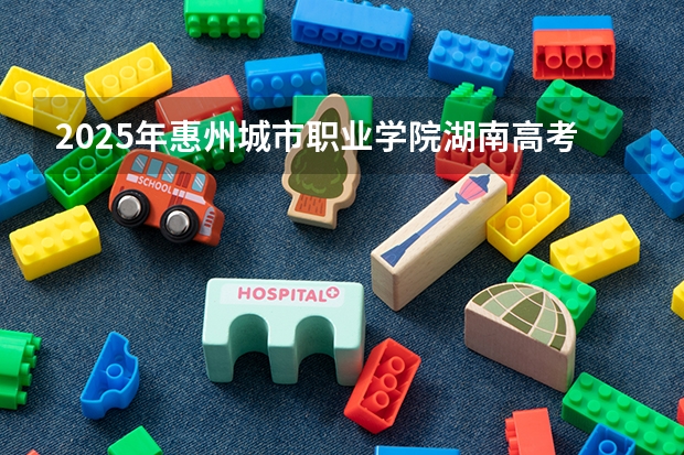 2025年惠州城市职业学院湖南高考招生计划（2026参考）