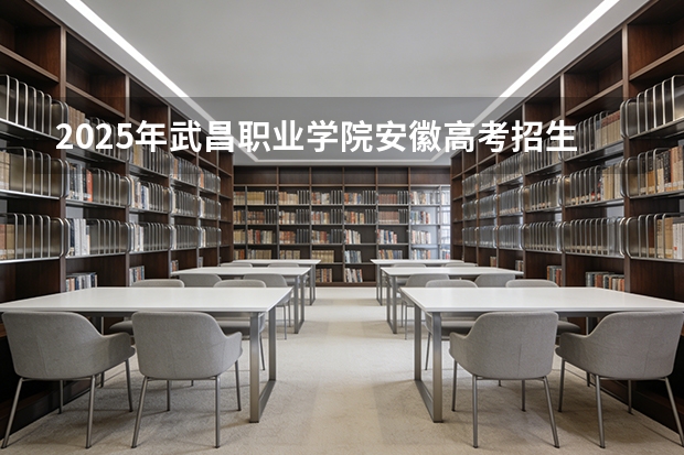 2025年武昌职业学院安徽高考招生计划（2026参考）