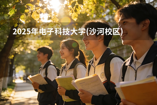 2025年电子科技大学(沙河校区)福建高考招生计划人数汇总（2026参考）