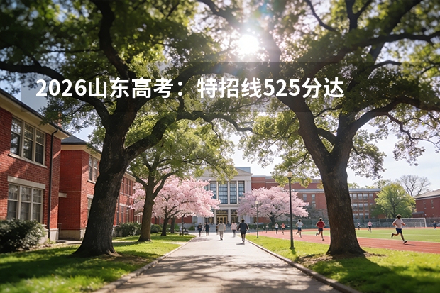 2026山东高考：特招线525分达线146675人，各分数段人数统计